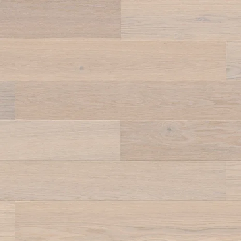 Dąb Aurantis Esthetic