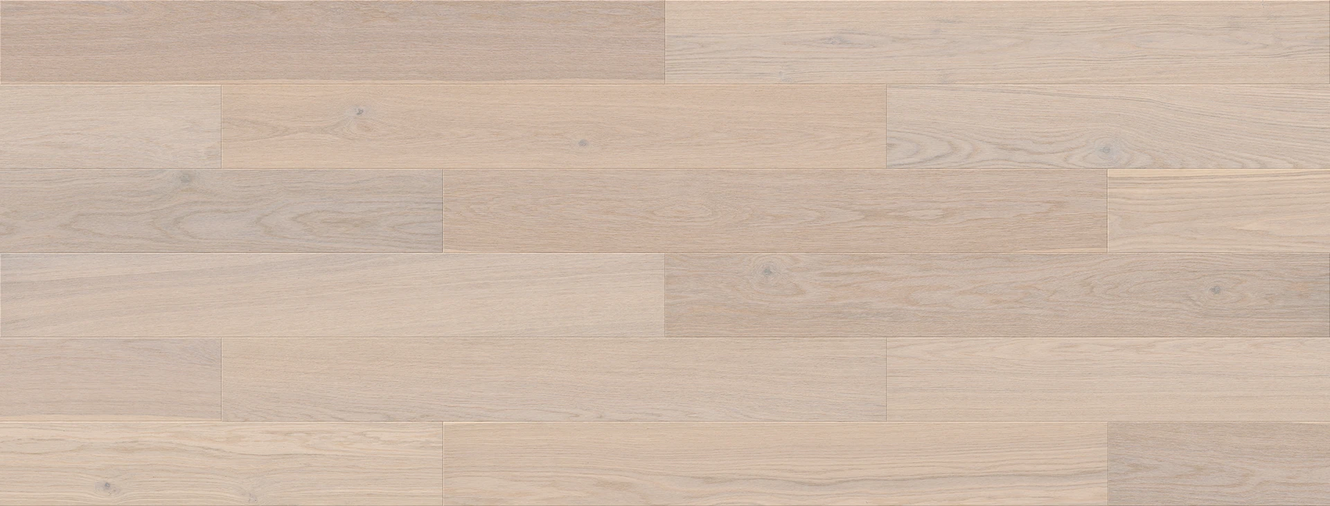 Dąb Aurantis Esthetic