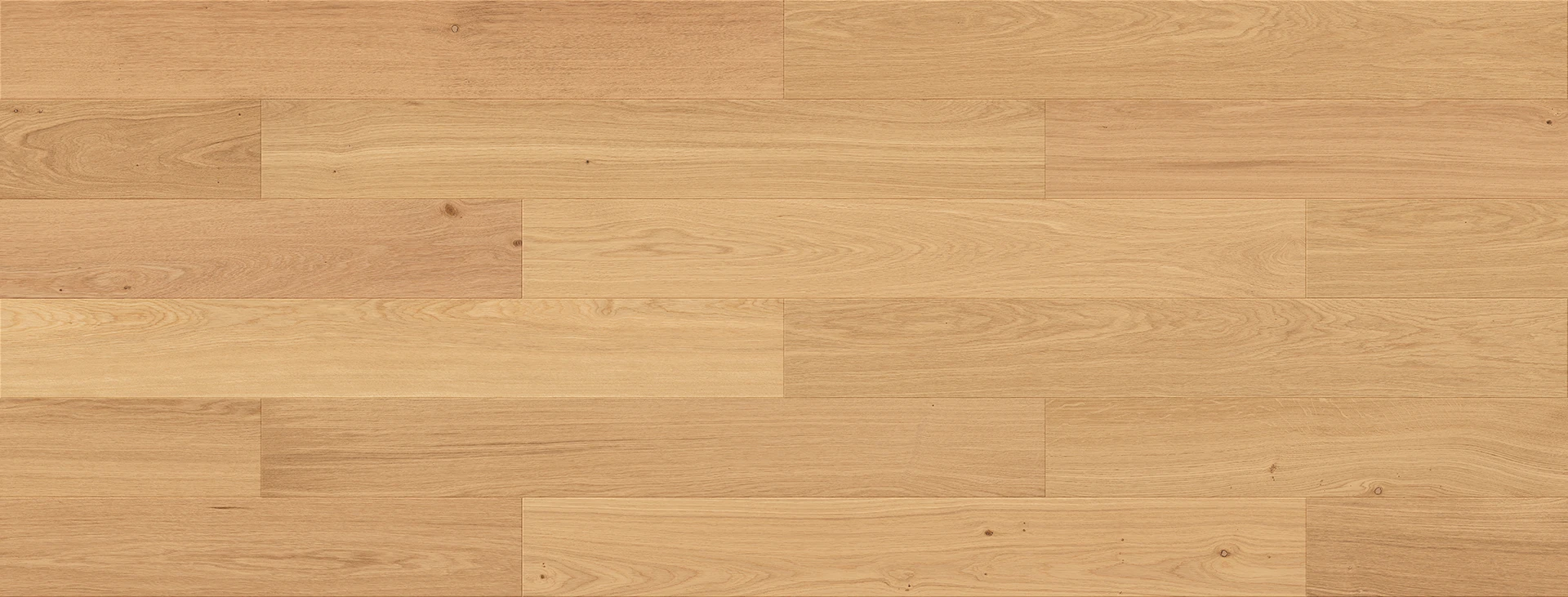 Dąb Futuris Esthetic